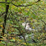 Photo taken by David L