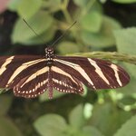 Photo taken by Sarah R