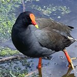 Photo taken by Rosemary S