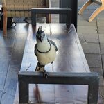 Photo taken by Bryan D