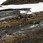 Photo taken by Annie T