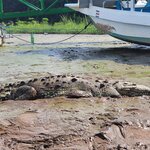 Photo taken by Alda Bernice M