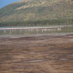 Photo taken by Peter H