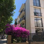 Tanner's home in Chile | Photo taken by Melody B