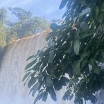 Photo taken by Madeleine C