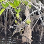 Photo taken by Gary W