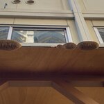 Photo taken by Kristin S