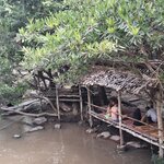 Photo taken by Brandon P