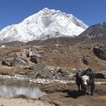 Lobuche | Photo taken by Lidia D