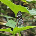 Photo taken by Touraj K