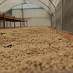 Photo taken by Marcia G