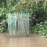 Photo taken by Ricky B