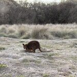 Photo taken by Gina L