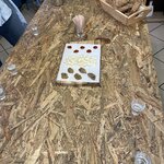 Photo taken by James N