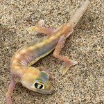 Photo taken by Sandro P