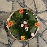 Photo taken by Marianne O