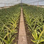 Photo taken by Catherine H