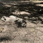 Photo taken by Chris K