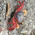 Photo taken by Martin L