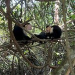 Photo taken by Erna P