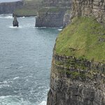 Photo taken by Janell D