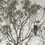 Photo taken by Shanthi V