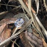 Photo taken by Anna L