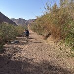 Photo taken by Kristin M