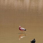 Photo taken by Jananee J