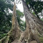 Photo taken by Anil C