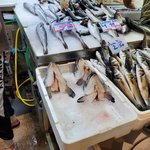 Photo taken by Patricia K