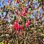 Photo taken by Douglas O