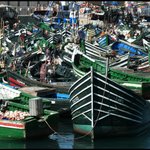 Safi. | Photo taken by Thomas H