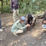 Photo taken by Julien C