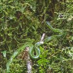 Photo taken by William A