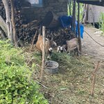 Photo taken by Jaybelyn C