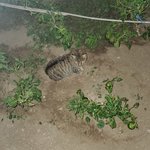 Photo taken by Patricia K