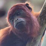 Photo taken by Jeff G