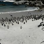 Photo taken by Michael Z