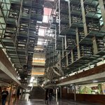 Photo taken by Kevin S