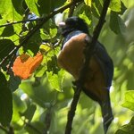 Photo taken by Bert B