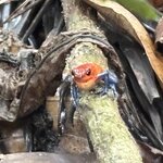 Photo taken by Heather R