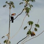 Photo taken by Kakoli K