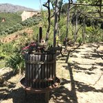 Photo taken by Victoria P