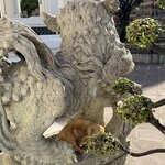 Photo taken by Kim B