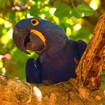 Photo taken by Dennis H