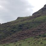 Photo taken by kevin c