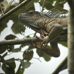 Photo taken by Sarah C