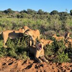 Photo taken by Kaye D