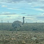 Photo taken by SANDRA V